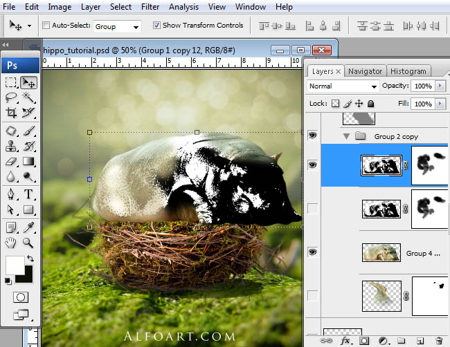 hippo, photoshop, nest, egg, shell, flying hippo, cute, baby, wings, hippopotamus, feathers